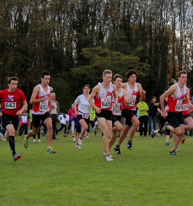16 novembre : cross national Bayard