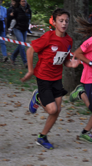 robin-bresson2015